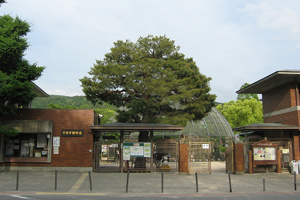 Kyoto City Zoo
